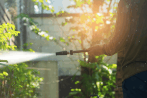 House Washing Service