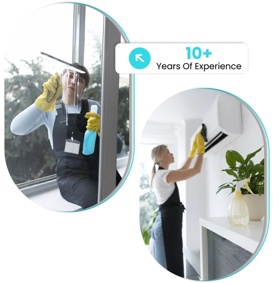 House Washing Services