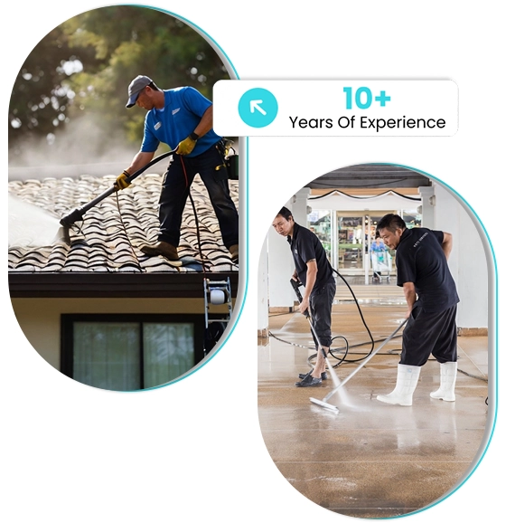 Book professional pressure washing services for your home or business?