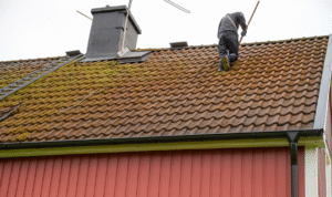 Roof cleaning Service
