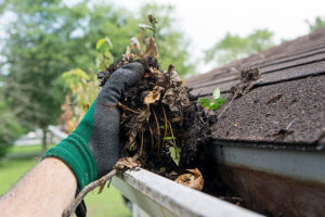 Hand in a green glove removing a large clump of wet leaves and debris from a clogged rain gutter on a shingle roof.
