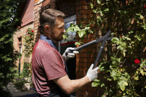 Man trimming rose bush with loppers in front of a clean, maintained residential brick home.